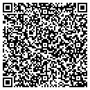 QR code with Caseys Curtains Etc contacts