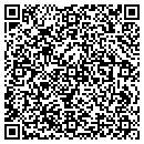 QR code with Carpet One Anderson contacts
