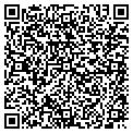 QR code with Lilikat contacts