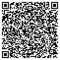 QR code with Msm Inc contacts