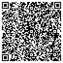 QR code with Blue Bison LLC contacts