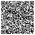 QR code with Shines contacts