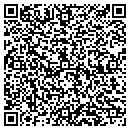 QR code with Blue Bison Design contacts
