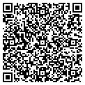 QR code with Delish contacts