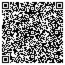 QR code with Premier Services Inc contacts