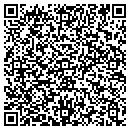 QR code with Pulaski Twp Pump contacts