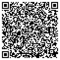 QR code with B-Gold contacts