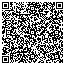 QR code with Puzzle Connection contacts