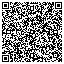 QR code with Puzzles Plus contacts
