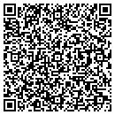 QR code with Puzzles R Us contacts