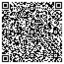 QR code with Puzzle Staffing LLC contacts