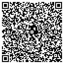 QR code with Punchline contacts