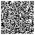 QR code with Vigoss contacts