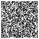 QR code with Crystal Icing contacts