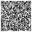 QR code with Crystal Icing contacts