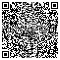 QR code with Dtlr contacts