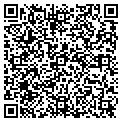 QR code with Needle contacts