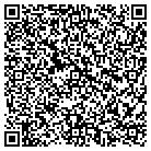 QR code with Block Alternatives contacts