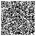 QR code with Maggies contacts