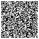 QR code with Premier Fits contacts