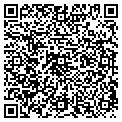 QR code with Melt contacts