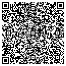 QR code with County Chimney Sweeps contacts