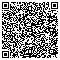 QR code with Fiona's contacts