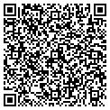 QR code with Salt Lamp Usa contacts