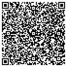 QR code with Blue Raccon Design Group contacts