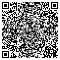 QR code with Essence contacts