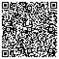 QR code with Motif contacts