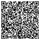 QR code with Blaze Decorative Pillows contacts