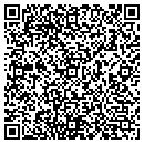 QR code with Promise Pillows contacts