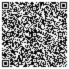 QR code with Blinds Solution of South contacts