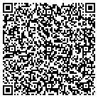 QR code with Blinds South Inc contacts