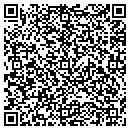 QR code with Dt Window Fashions contacts