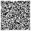 QR code with Pro Flow Machine Shop contacts
