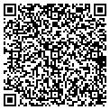 QR code with Shell contacts