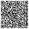 QR code with Msdf contacts