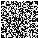 QR code with Proaccess Systems Inc contacts