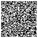 QR code with Professional Pools contacts