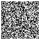 QR code with Premier Pools & Spas contacts