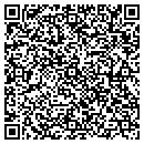 QR code with Pristine Pools contacts