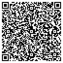 QR code with Print It Xpress Inc contacts