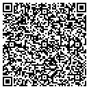 QR code with Pyke Signs Inc contacts