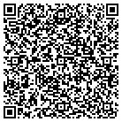 QR code with Summerlin Storgard V Lc contacts