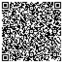 QR code with Press Play Connection contacts