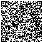 QR code with Amir's Enterprise LLC contacts