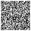 QR code with Barnes Lu Ann L contacts