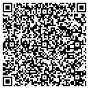 QR code with Premier Floor Cleaning contacts